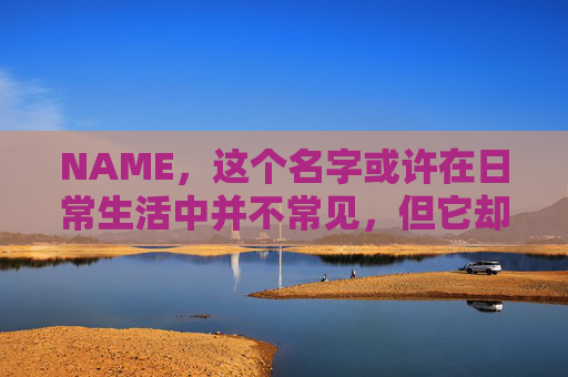 NAME，这个名字或许在日常生活中并不常见，但它却在某些领域里扮演着重要的角色。今天，让我们一起来探索这个名字背后的故事和意义